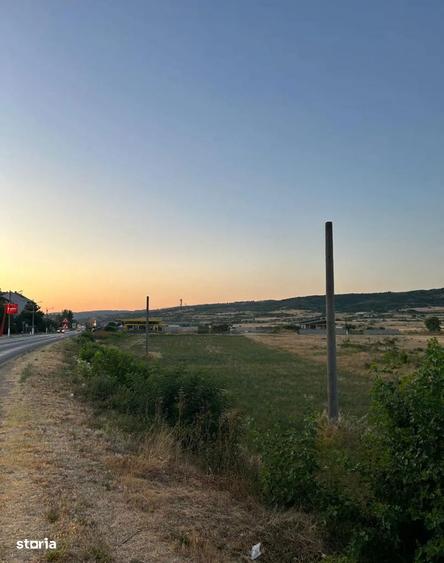 TEREN DE VANZARE - Direct PROPRIETAR in Moldova Noua - 3