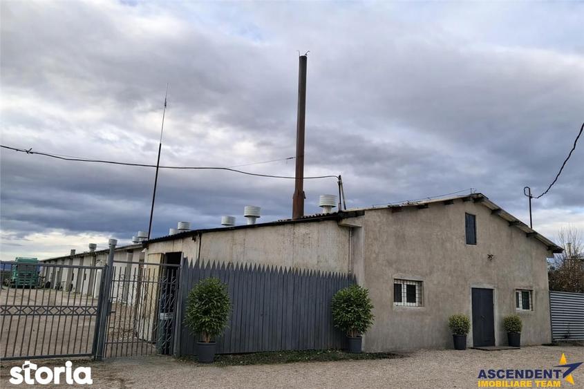 Hala industriala versatila,spatii cazare, platforma betonata,Halchiu,B - 8