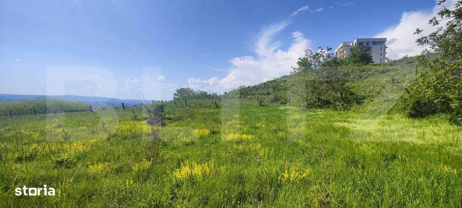 Teren Panoramic 15.500 mp Investitie sau Dezvoltare, Zona Aleea Ma - 7