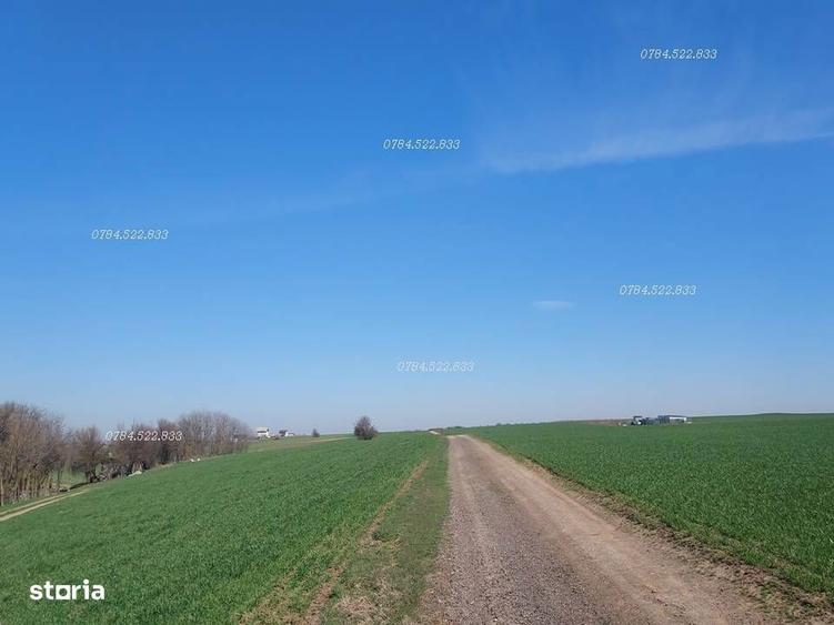 Teren intravilan RATE investitie sigura langa Bucuresti Berceni Ilfov - 5