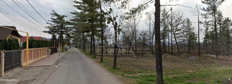 Gheraiesti-str. Lunca Bistritei-la asfalt-1.500 mp-intravilan-curti constructii - 9