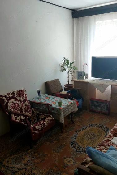 Apartament 3 camere Baia - 3