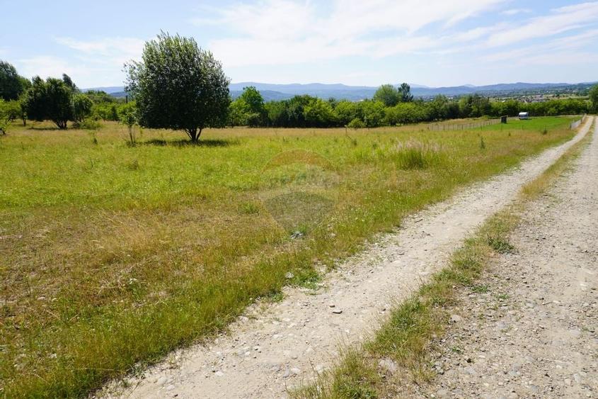 Teren 1,343mp Sighetu Marmatiei / Strada Doboies - 3