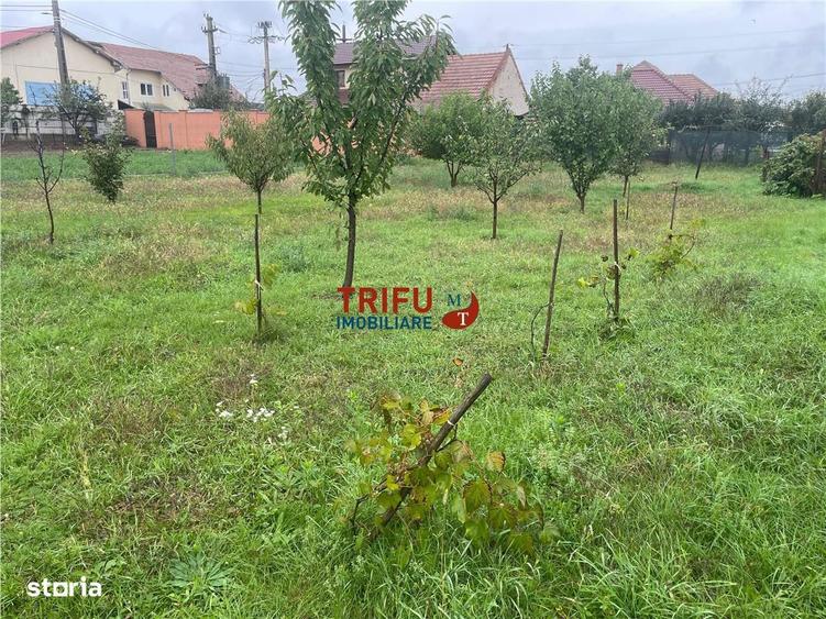 Teren cu proiect pentru locuinta cuplata in Micesti - 1