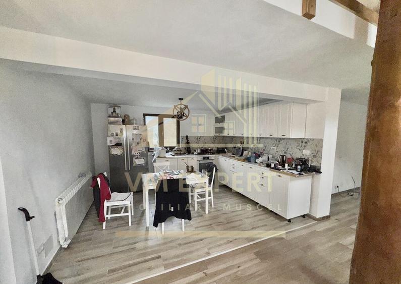 CASA 5 CAMERE 252 MP TEREN 1362 MP DRAGOSLAVELE ARGE? - 12