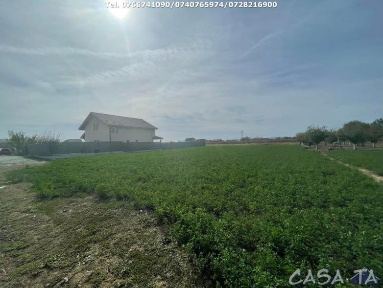 Teren Intravilan 1000 mp, Balesti - Ceauru - 3