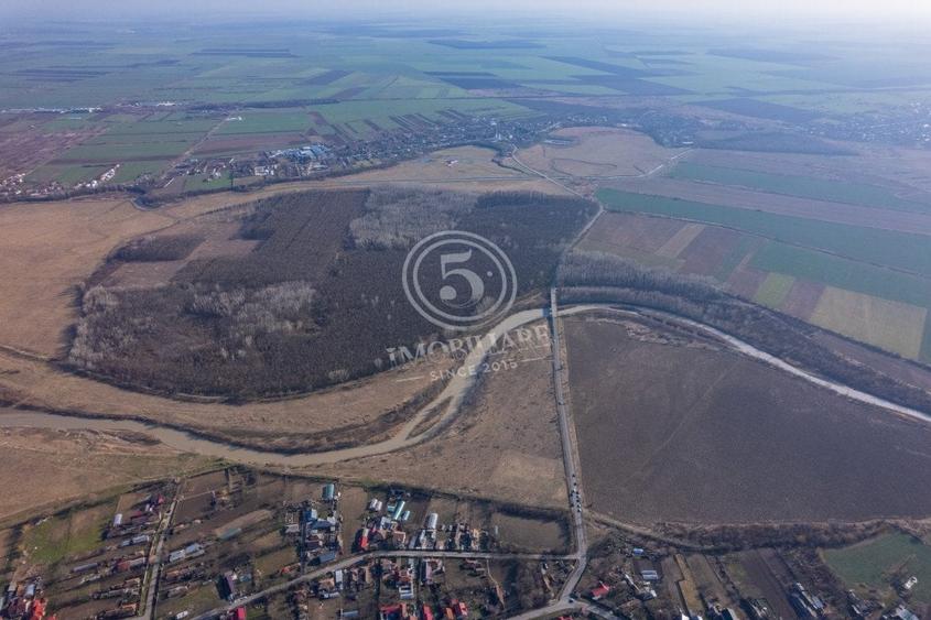 Pădure de vânzare - Pădurea lui Bolete, Fierbinți-Târg - 6