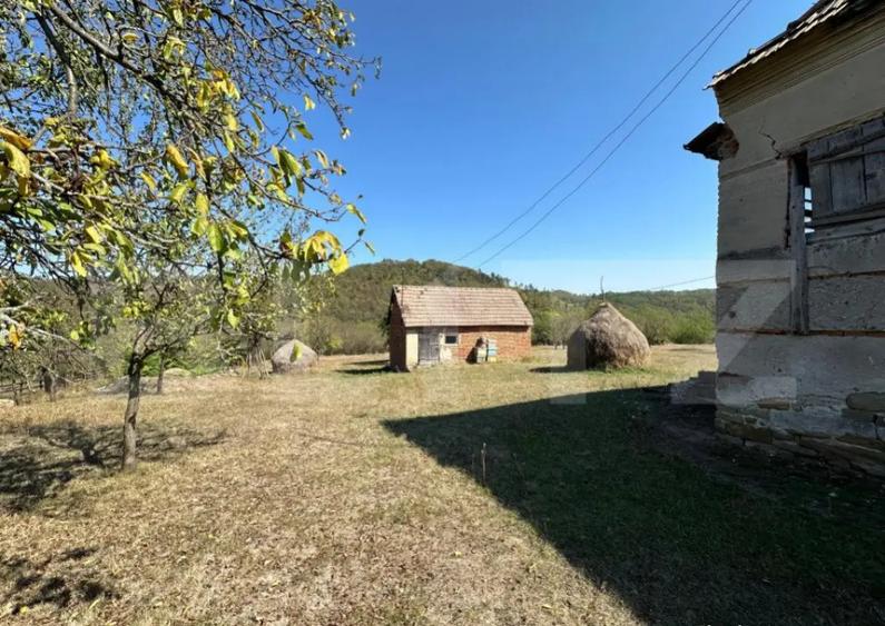 Teren intravilan de vanzare 14000mp,ideal pentru investitie, - 9