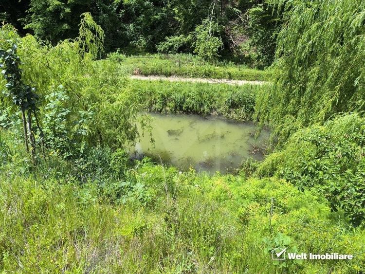 Casa de vacanta, cu lac, 5640 mp teren, Huta, com. Chiuiesti, jud. Cluj - 34