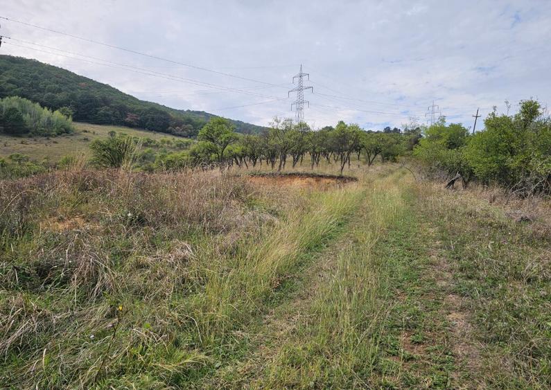 Teren exclusivist cu vedere panoramica - 4