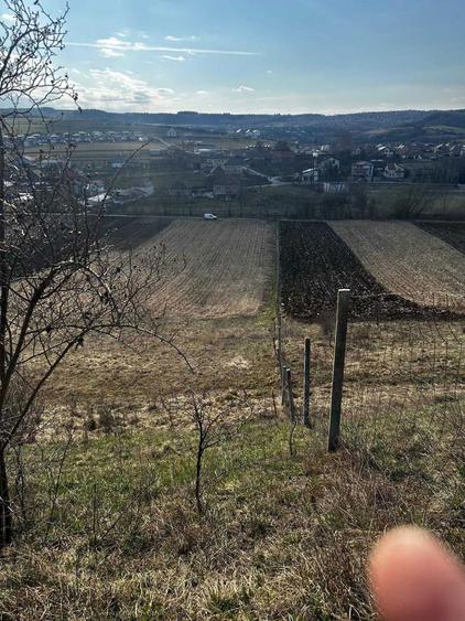 Teren extravilan 9000 mp Corusu, Baciu, drum, ideal investitie - 8