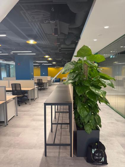 Spatiu Birou | Totul inclus | Pret Avantajos - 5