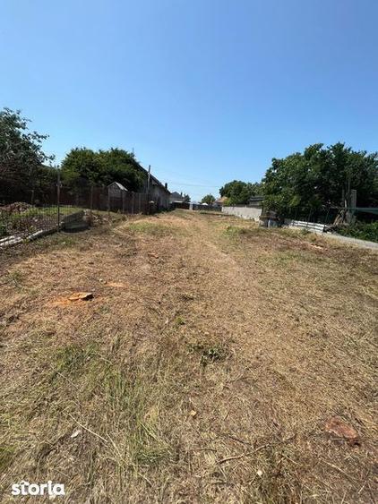 Vand teren com Curtisoara jud Olt intravilan - 3