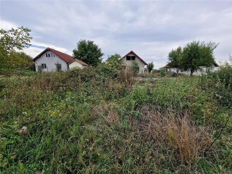 RECO teren intravilan Ineu - 3