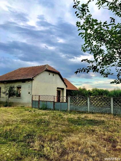 Casa de vinzare in comuna ghilad - 3