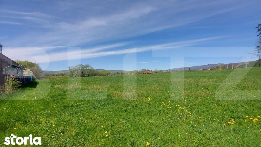 7000 mp teren intravilan in Ghidfalau I Pe malul Oltului I Oportunitat - 1