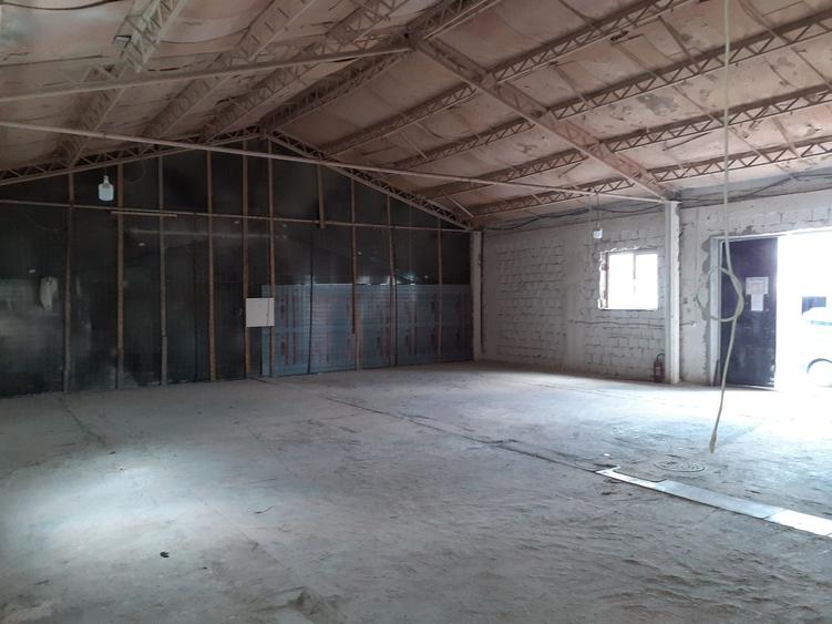 Zona Obor - Pantelimon - Hale pentru depozitare sau productie - 3