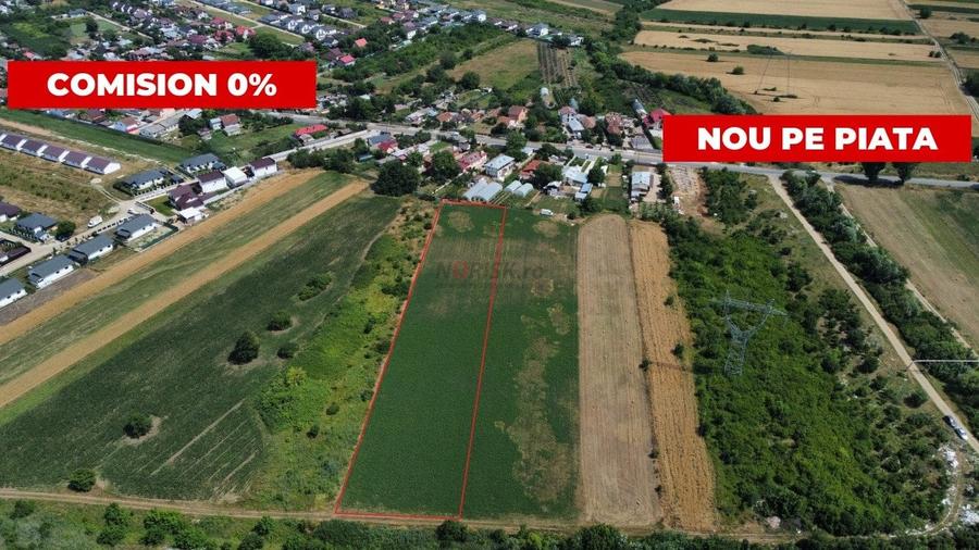 Teren Constructii Intravilan 4750mp SABARENI - 0% COMISION - 1