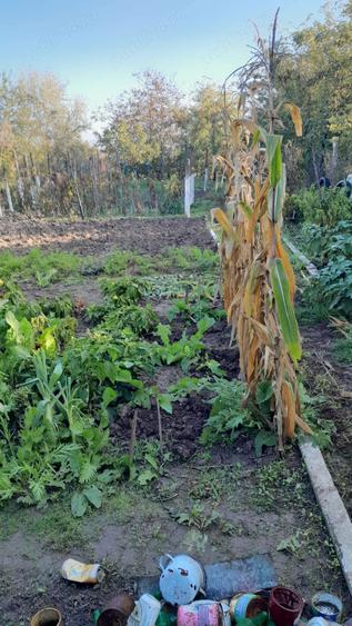 Casa de vanzare str Tepes Voda Nr 82 - 4