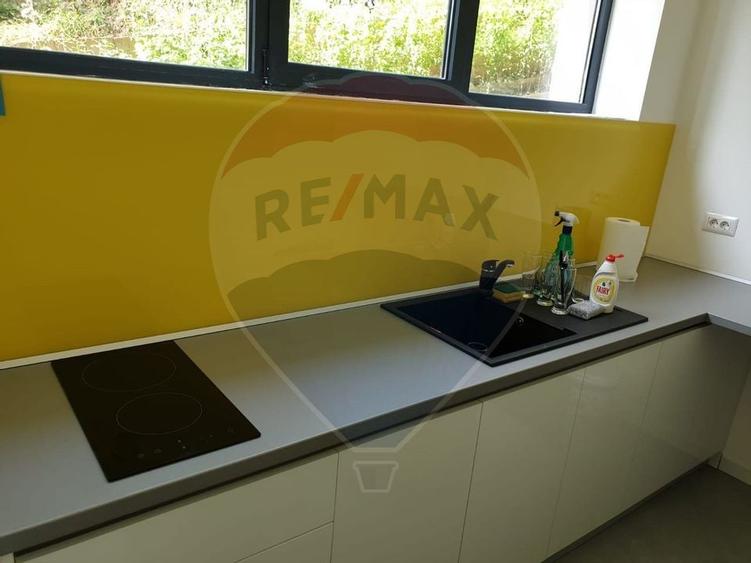 Spatiu comercial Vanzare cu Chiriasi | Taietura Turcului - 7