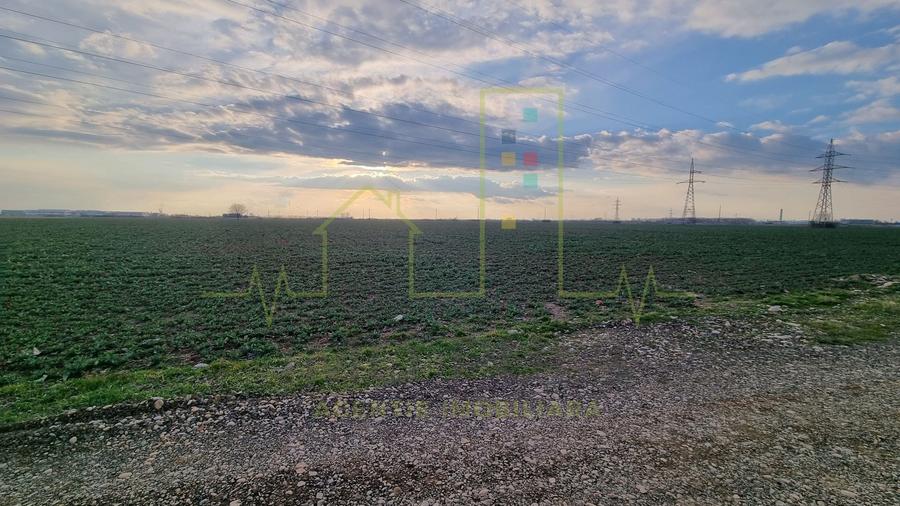 Zona industriala Freidorf. 4.345 mp. Timisoara. - 1