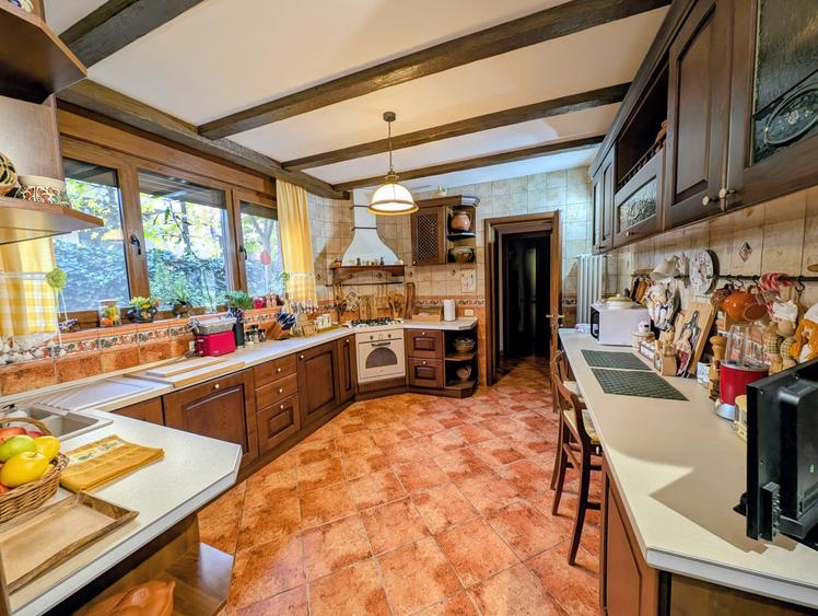 Jiului-Coralilor-Damaroaia,eleganta,robusta,garaj,curte intima,vegetatie matura - 16