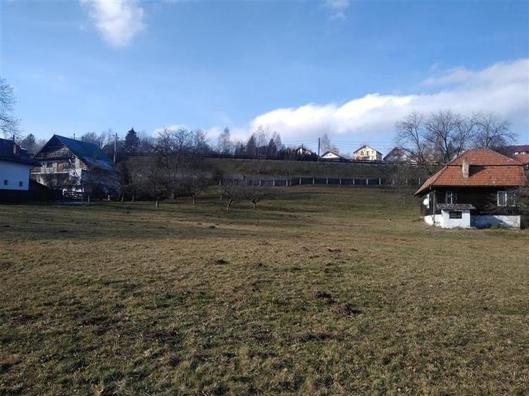 Vanzare teren Moeciu - Brasov - 6000 mp - 4