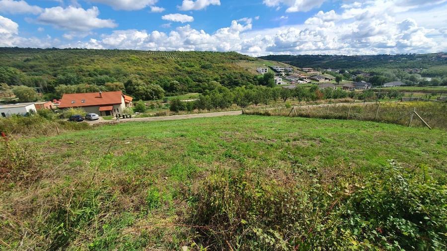 Vanzare teren 1000 mp - 2