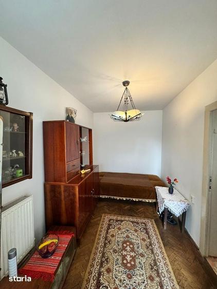 Casa si teren de vanzare 948mp Campia Islaz, Oportunitate de invest - 3