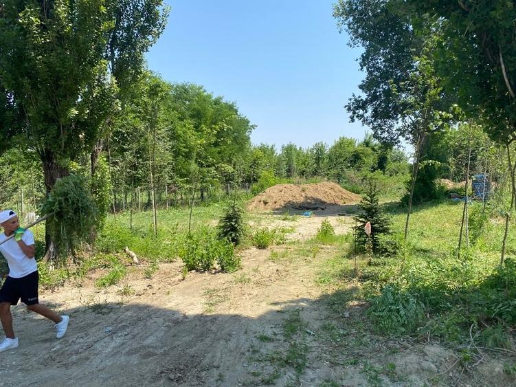 Teren construcții 3 loturi Intrarea Serelor/ Iuliu Hațeganu - 3