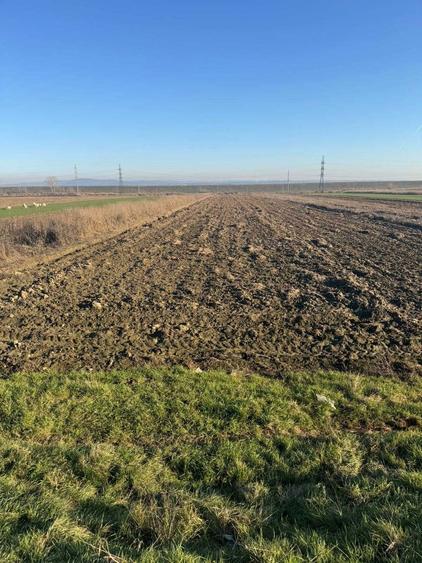 Teren de vanzare 5000 mp, Valea Mare, Babeni DN64 - 2