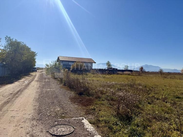 Teren intravilan, PUZ aprobat, 800 mp, cu utilități, Harman - 5