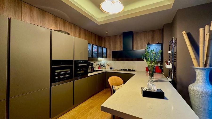 REV2004389 Duplex I Iancu Nicolae - 10