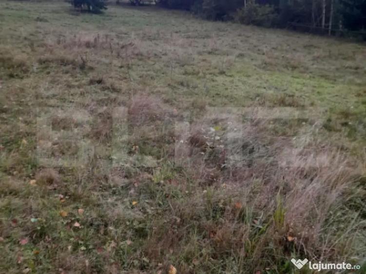 Teren intravilan de vanzare, 2280 mp, Vatra Dornei - 3