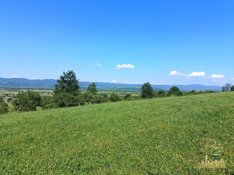 Teren extravilan 9093 mp de vanzare in Josani, com. Magesti - Bihor - 4