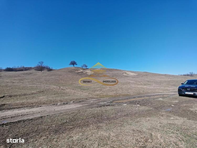 Vand teren intravilan Stejaru Bacau - 5