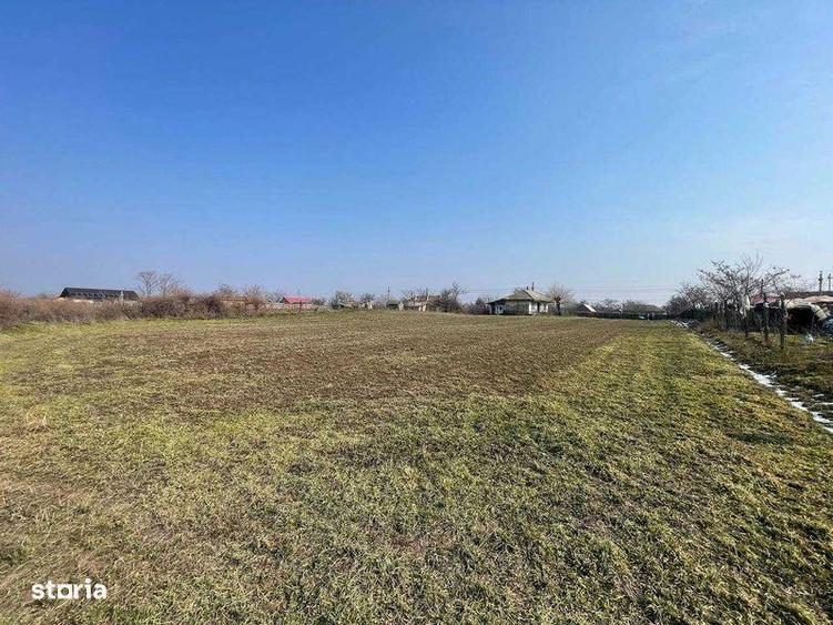 Teren pretabil Investitie in Comuna Daieni Bratul Macin Dunarea Veche - 6