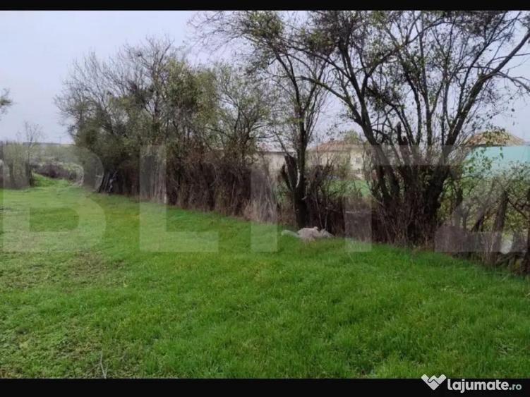 Ocazie investitie! Teren intravilan cu acces stradal, Petre - 5