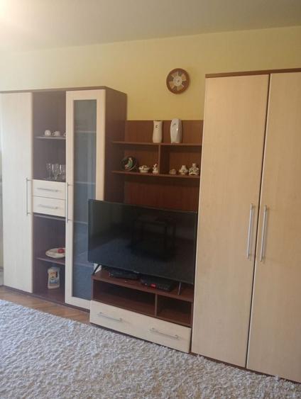 Apartament- 1 camera - ideal pentru investitie - Zona Circumvalatiunii - 2
