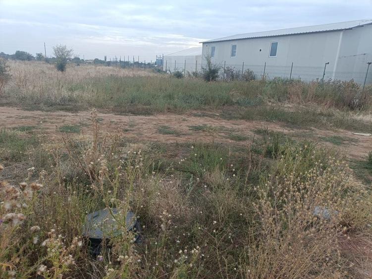 Teren spate top gel Carcea - 3