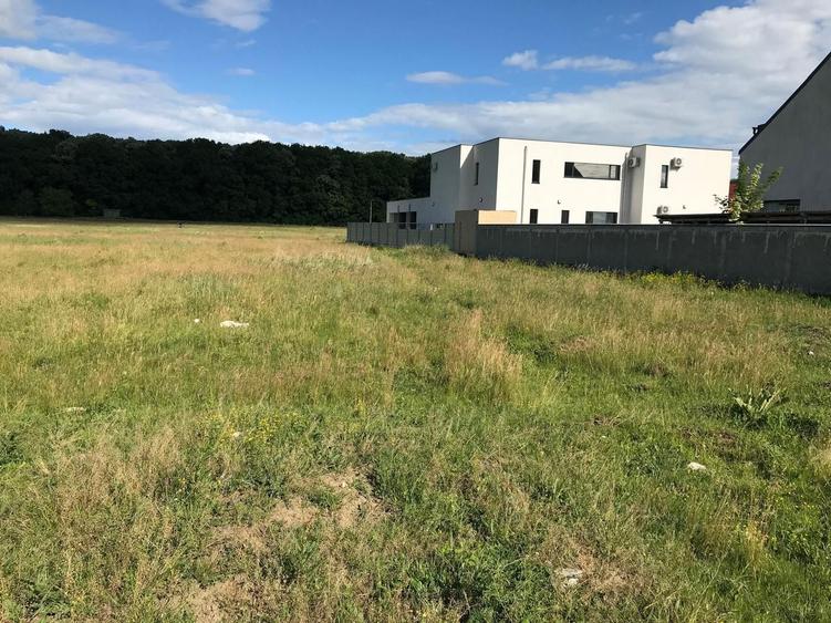 Vand teren voluntari Matei millo - 6