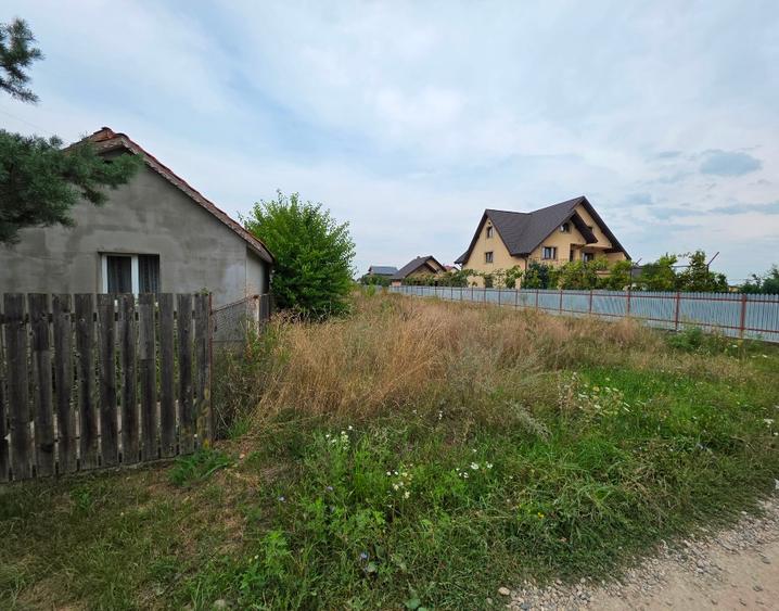 Teren de vanzare 2700 m2 Dumbrava Roșie  - 2