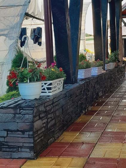 Casa de vanzare - 10