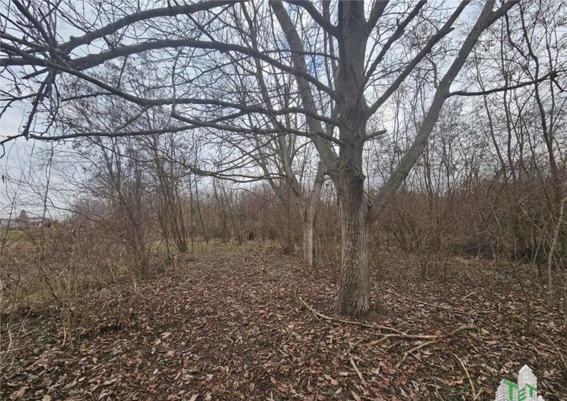 Teren 2800mp casa soseaua principala Domnesti - 1