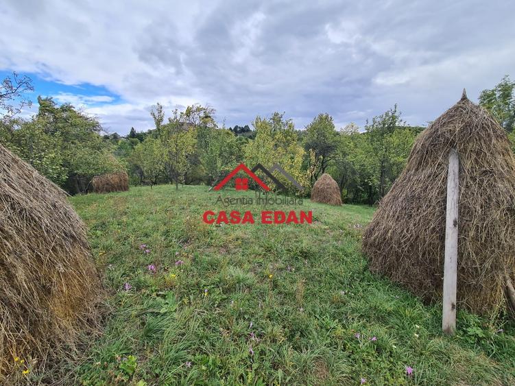 Teren intravilan in Sotrile--1671m--13e - 1