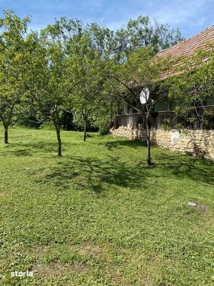 Teren de 27000 mp, în Moldovenești