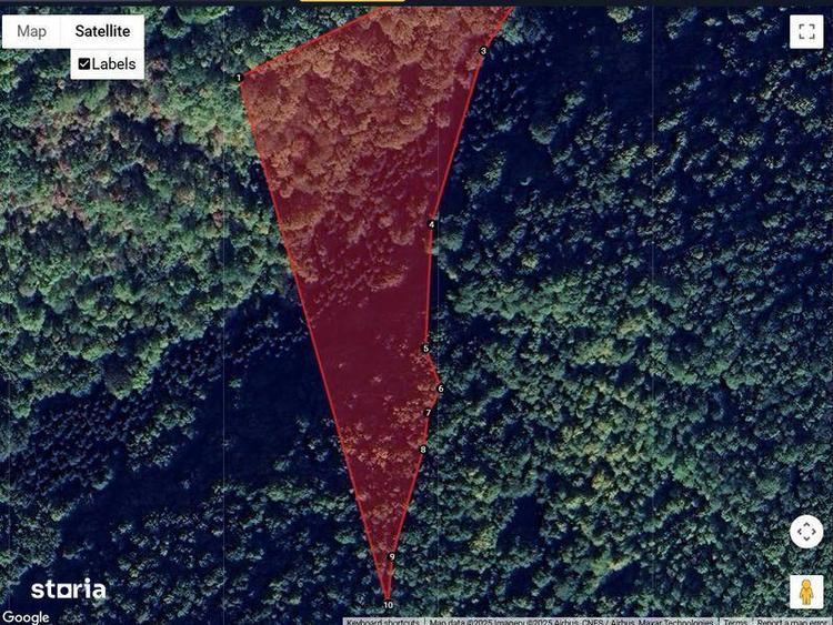 Padure Stejar 2ha Bordeni Prahova - 4