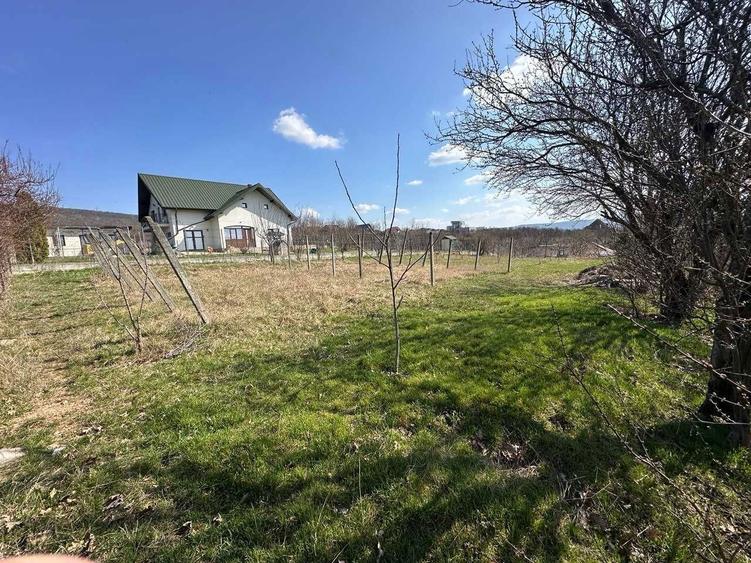 Teren de vanzare in Barnova Iasi - 7