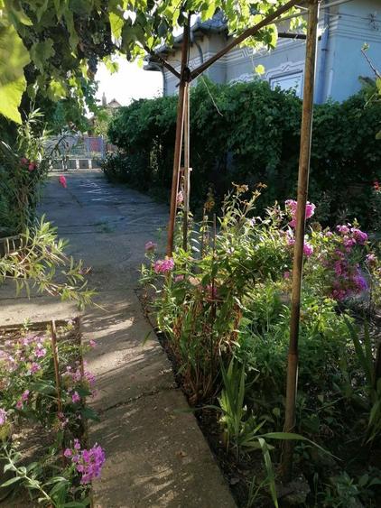 Vand Casa Boureni cu anexe si 2400 m/p - 3