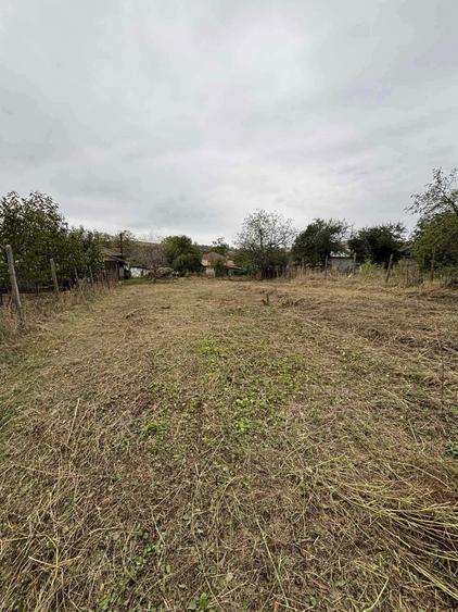 Casa de vanzare la 45 min de Bucuresti - Refugiu in inima viilor - 5